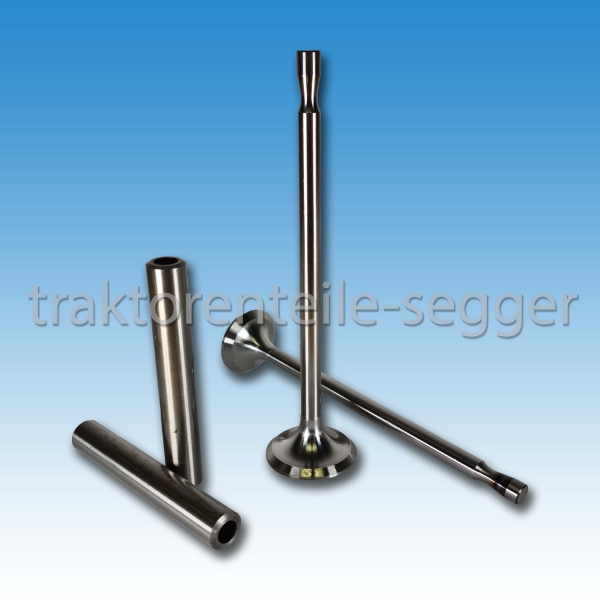 Satz Einlass- & Auslassventile + Ventilführungen 100 mm für Hanomag R 22 R 27 R 324 Granit R 332 Motor D 21